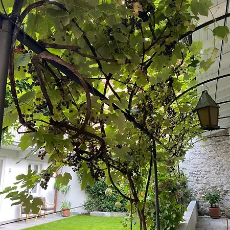 Apartmán Garden *