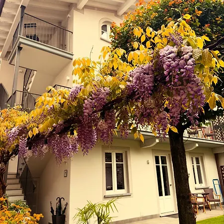 Garden *