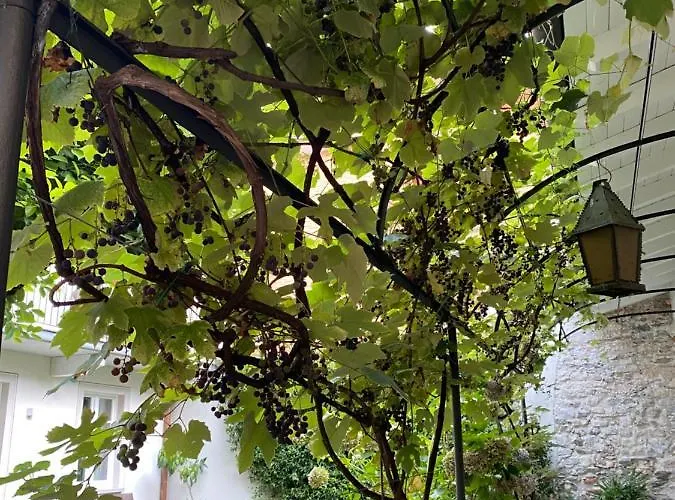 Апартаменты Garden *