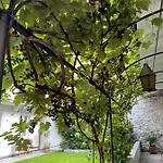 Apartman Garden *